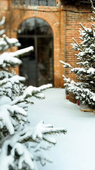 Zimowa magia na dobre się u nas rozgościła! ❄️Basia zaprasza na wycieczkę po terenie Małej i Dużej Stajni (kt&oacute;re są gotowe na Wasze klimatyczne przyjęcia, wesela i eventy otulone śniegiem), a także po @kimuraglamping ze Szklarnią (te czekające na pobudkę z zimowego snu wiosną). 

Pięknie, prawda? Kto chętnie ulepiłby bałwana? ⛄️